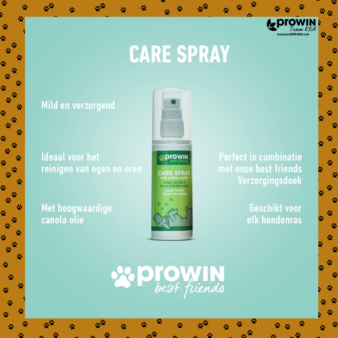 ProWIN Flacone Spray Vuoto - Contenitore Senza Contenuto - Per Acqua, Prodotti Fai Da Te